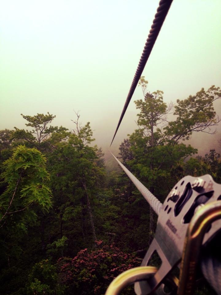 Looking for Excitement? Try the Mountain Top Zip Line ...
